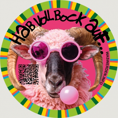 Regionalentwicklung Oststeiermark – Berufsorientierungsmessen